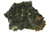 Lustrous, Epidote Crystal Cluster on Actinolite - Pakistan #164851-3